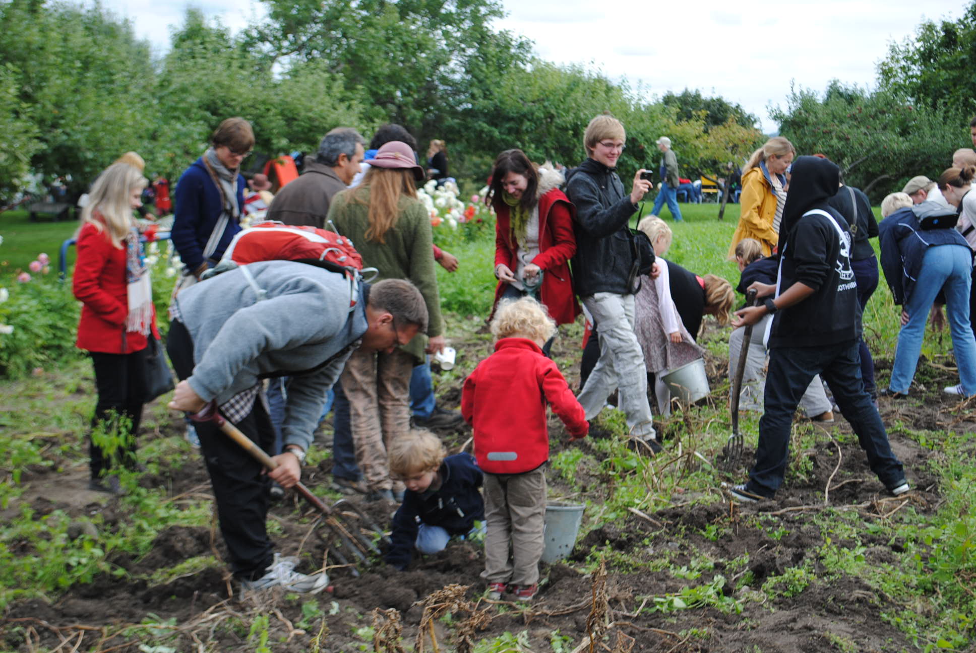 Community garden